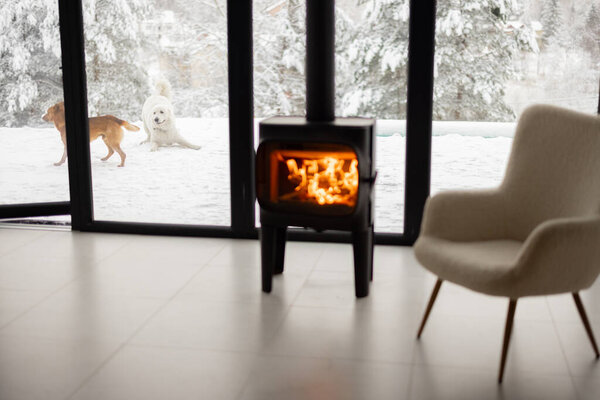 Cozy living space by the burning fireplace at snowy mountains and dogs playing