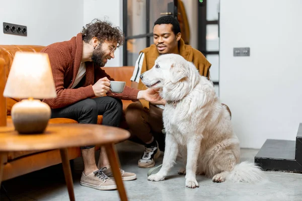 Gay pareja tener divertido con un perro en casa —  Fotos de Stock