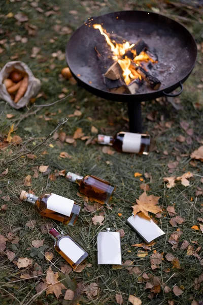 Бутылки с алкоголем на траве на пикнике — стоковое фото