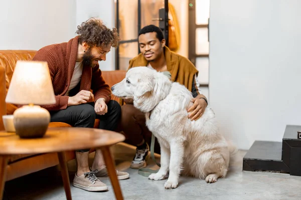Meleg pár szórakozik egy kutyával otthon — Stock Fotó