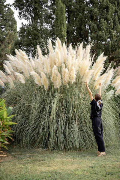 Femme jouit d'une belle énorme herbe décorative Pampas à son jardin — Photo