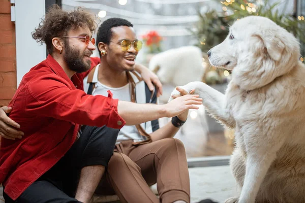 Två killar bryr sig om hunden när de sitter på golvet hemma — Stockfoto