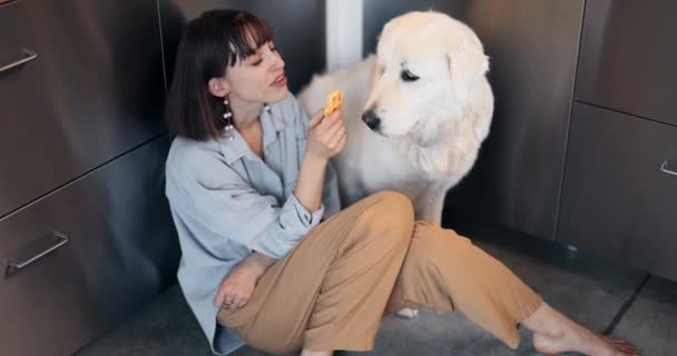 Mujer alimenta a su adorable perro mientras están sentados juntos en el suelo en la cocina — Vídeo de stock