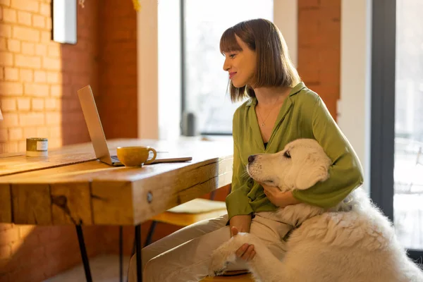 Žena pracuje na notebooku se psem v útulném obývacím pokoji — Stock fotografie