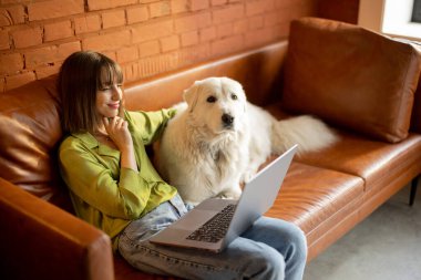 Kadın dizüstü bilgisayarda çalışıyor. Evdeki kanepede sevimli köpeğiyle oturuyor.