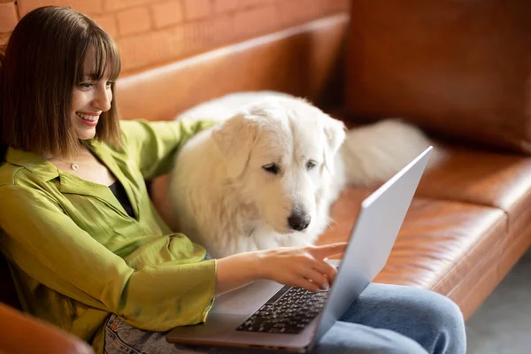 Femme travaille sur ordinateur portable tout en étant assis avec son chien mignon sur un canapé à la maison — Photo