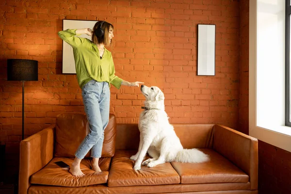 女人和她可爱的狗在家里的沙发上玩耍 — 图库照片