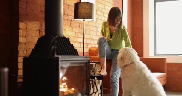 女は彼女の白いかわいい犬を食べます,家で一緒に時間を過ごす — ストック動画