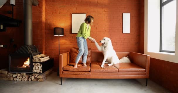 Женщина развлекается со своей собакой на диване дома — стоковое видео