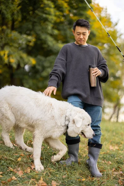 Homem acariciar cão e desviar o olhar na natureza no outono — Fotografia de Stock