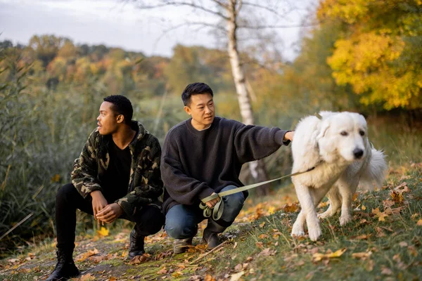 Homme caresse chien et détourner les yeux dans la nature à l'automne — Photo