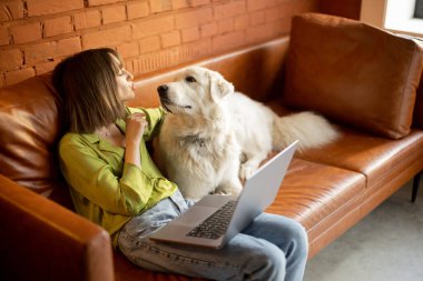 Kadın dizüstü bilgisayarda çalışıyor. Evdeki kanepede sevimli köpeğiyle oturuyor.
