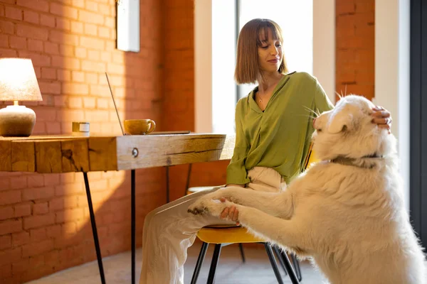 Kvinna arbetar på laptop med hund i mysigt vardagsrum — Stockfoto