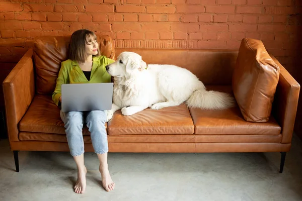 Kadın dizüstü bilgisayarda çalışıyor. Evdeki kanepede sevimli köpeğiyle oturuyor. — Stok fotoğraf