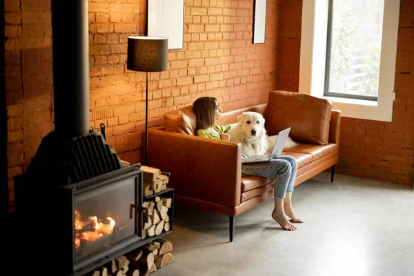 Kadın dizüstü bilgisayarda çalışıyor. Evdeki kanepede sevimli köpeğiyle oturuyor.