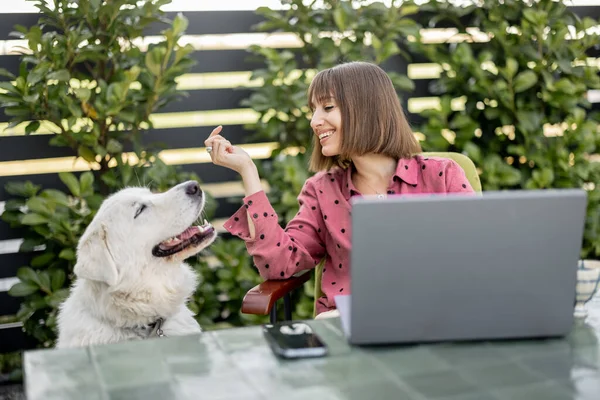 女性フィード彼女の可愛いです犬ながら作業上のラップトップコンピュータでザ庭 — ストック写真