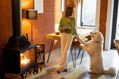 Kadın dijital tabletle çalışıyor ve köpeğini evde önemsiyor.