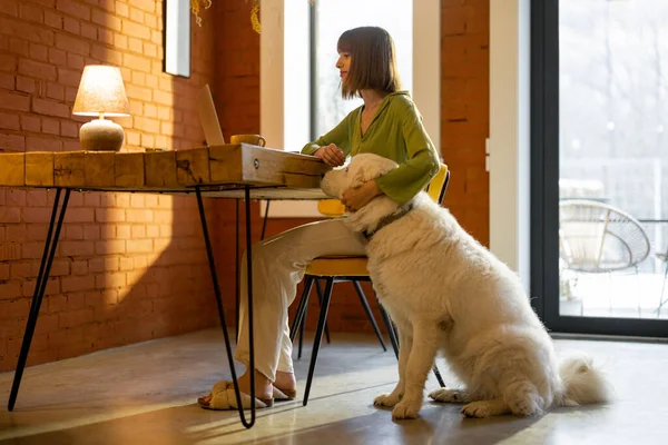 여자는 편안 한 거실에서 개와 노트북으로 일한다 — 스톡 사진