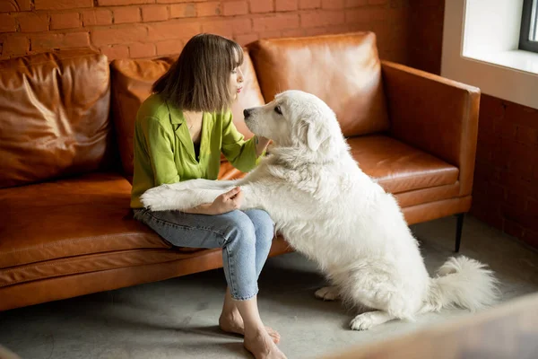집에서 흰 사랑 스러운 개와 포옹하는 여자 — 스톡 사진