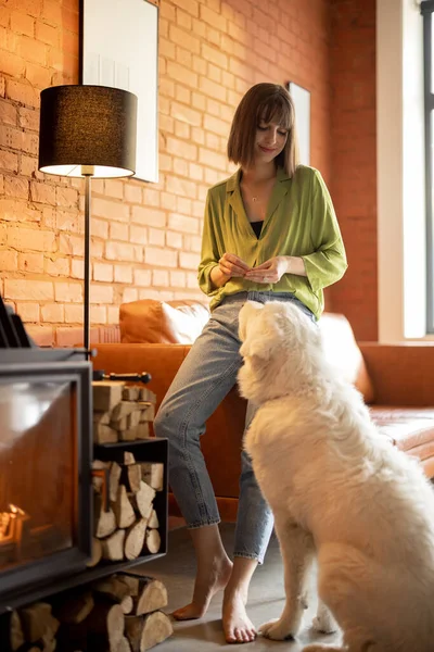 Mujer alimenta a su perro blanco adorable, pasar tiempo juntos en casa —  Fotos de Stock