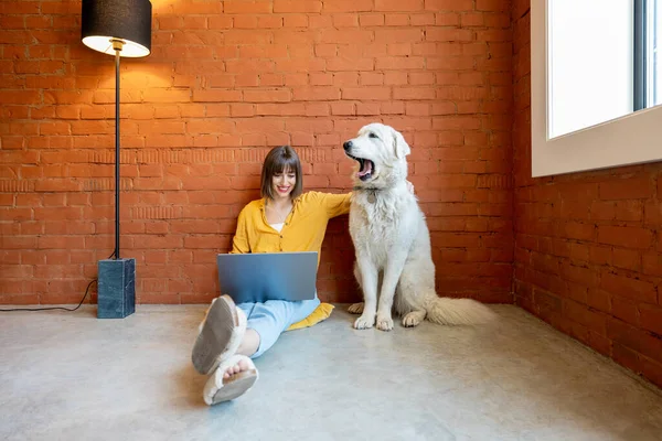 Evde köpeğiyle otururken dizüstü bilgisayarda çalışan bir kadın. — Stok fotoğraf
