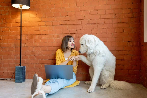 집에서 개와 함께 앉아 노트북 컴퓨터를 사용하는 여자 — 스톡 사진
