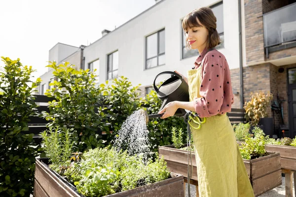 Жінка поливає свіжі трави вдома овочевий сад — стокове фото
