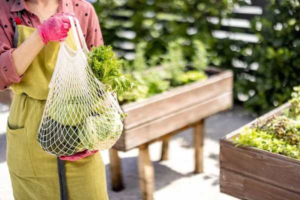 Holding mesh bag full of fresh vegetables and greens at home garden —  Fotos de Stock