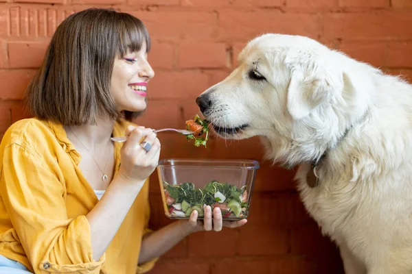Mujer alimentación su lindo perro con ensalada en el interior —  Fotos de Stock