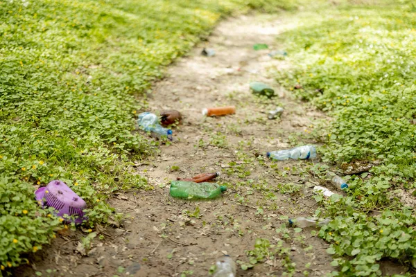 Doğaya saçılmış plastik çöpler.