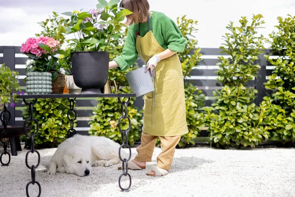 Mujer joven cuidando de las flores con perro en el jardín —  Fotos de Stock