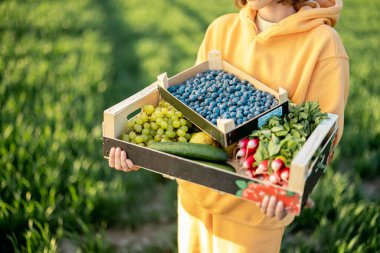 Çiftlik arazisinde taze yiyeceği olan kişi