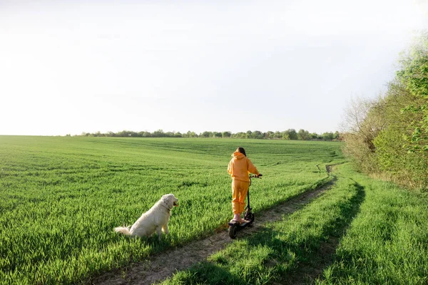 Bir kadın yeşil alanda köpeğiyle birlikte elektrikli scooter kullanıyor. — Stok fotoğraf