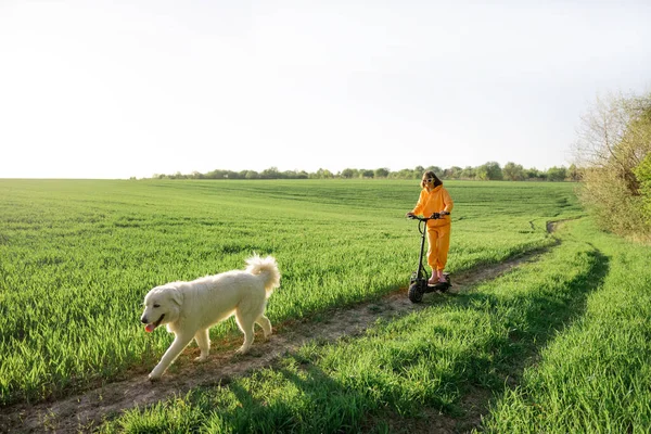 Žena jezdí na elektrickém skútru na zeleném poli se psem — Stock fotografie