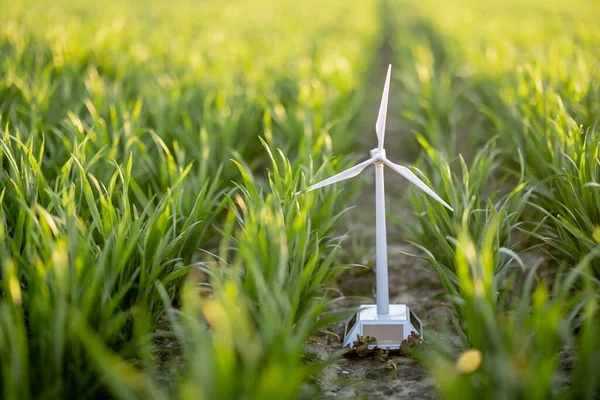 Toy wind generator on green field — Stock Photo, Image