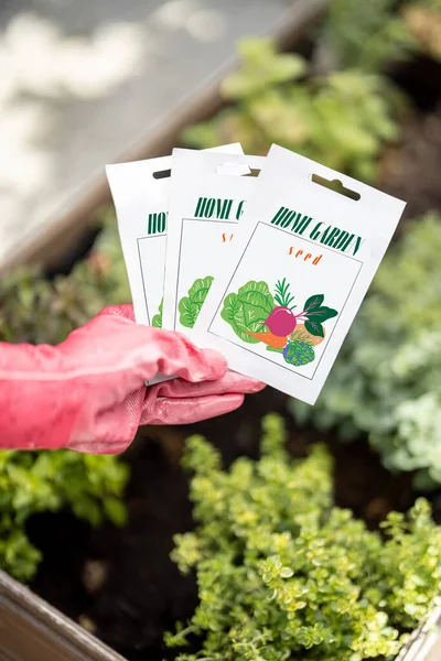 Kağıt pakette sebze tohumları