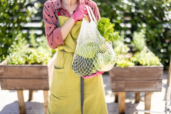 Segurando saco de malha cheio de legumes frescos e verduras em casa jardim — Fotografia de Stock