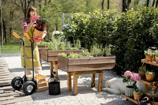 Bahçede çiçekli yeşil önlüklü bahçıvanın portresi.