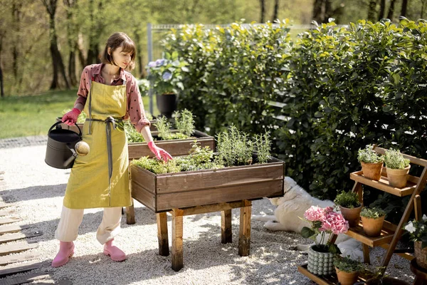 Evinin arka bahçesindeki sebze bahçesinde bir kadın.