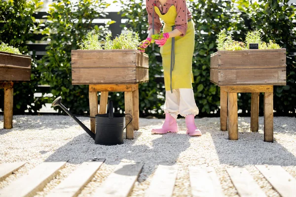 Kvinna hemma grönsaksträdgård i trädgården av hennes hus — Stockfoto