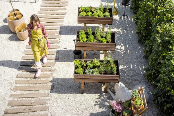 Вид зверху на дім овочевий сад і жінка, що працює — стокове фото