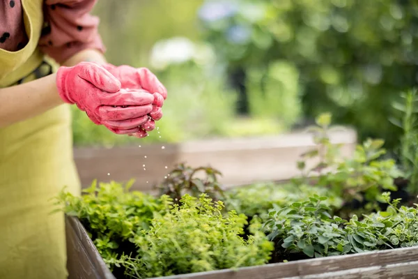 Jardineiro mantém em mãos fertilização mineral, close-up — Fotografia de Stock