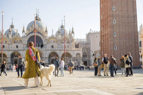 Γυναίκα με σκύλο στην κεντρική πλατεία της Βενετίας, Ιταλία — Φωτογραφία Αρχείου