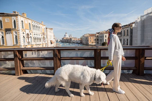 Женщина с собакой на мосту в Венеции — стоковое фото