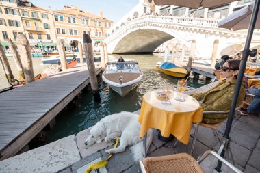 Venedik 'teki ünlü Rialto köprüsünün yanındaki terasta bir köpekle oturan kadın.