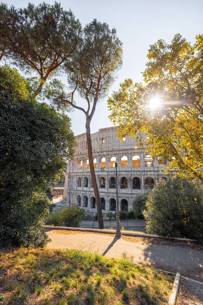 Uitzicht op Colosseum door bomen in het park — Stockfoto