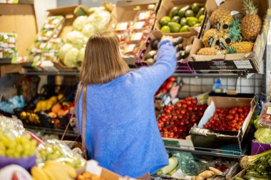 Kadın marketteki ürünlerle dolu tezgahtan avokadoyu seçiyor. Arkasından bak. Yerel marketten yiyecek almak.
