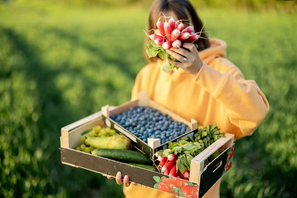 Mujer Cargando Cajas Con Jugosas Bayas Frescas Frutas Verduras Tierras —  Fotos de Stock