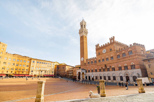 Morning View Main Square Siena City Town Hall Concept Architecture Stock Photo