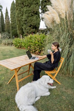 Maremmano-Abruzzese çoban köpeğini okşayan ve yeşil Akdeniz çimlerinde tahta masada dizüstü bilgisayar kullanan bir kız. Hafta sonu, dinlenme ve tatil kavramı. İnsan ve evcil hayvanın dostluk fikri